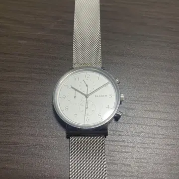 SKAGEN 실버 크로노그래프 시계