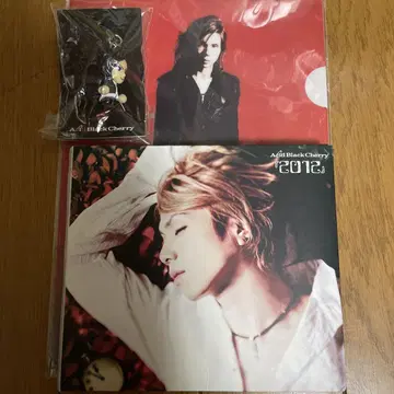 Acid Black Cherry 2012 앨범 + 스트랩