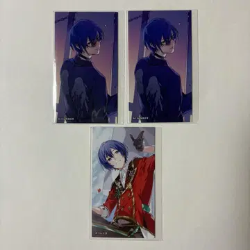 프로세카 KAITO cd 트레이딩 카드