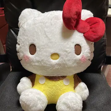 헬로키티 푸딩 카라돌 GJ입니다.