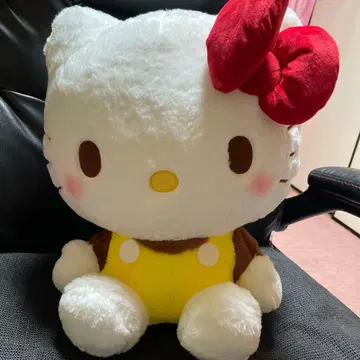 헬로키티 푸딩 카라돌 GJ입니다.