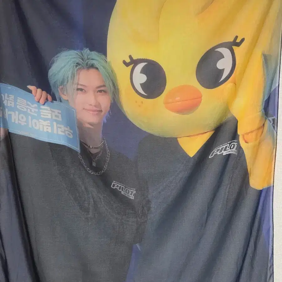 Stray Kids SKZ Felix banner slogan