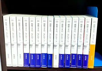 나는 아무것도 아니야? 1~14권 + EX 라이트 노벨