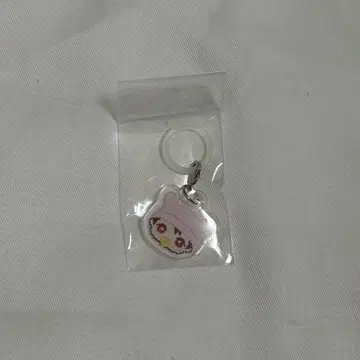 후쿠모토 타이세이 버스데이 이벤트 가라가라 메지루시 참 핑크 모자
