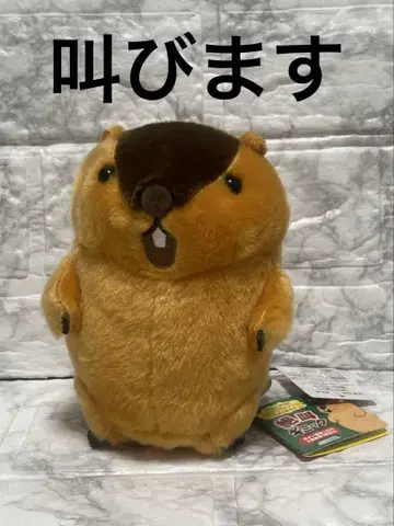 마모트의 모토토토 절규 기믹 봉제 인형