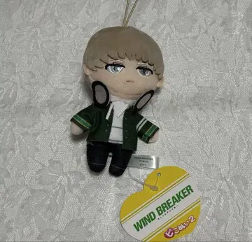 WIND BREAKER 카지 렌 피코누이