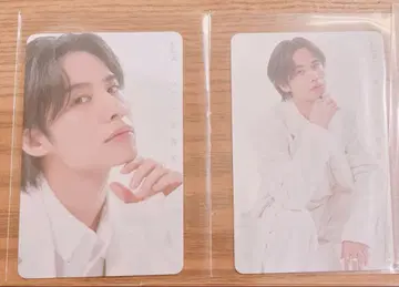 하시모토 신이치 랜덤 카드