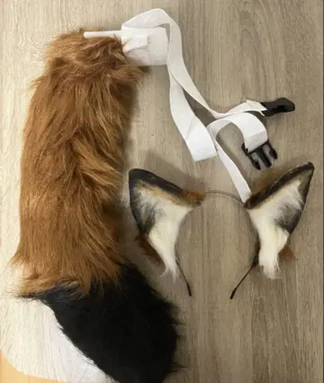 여우 귀와 꼬리