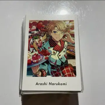 앙스타 나루카미 아라시 파샤츠 vol.5 action 48장