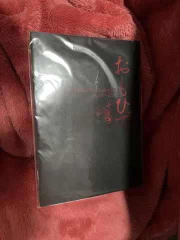 Acid Black Cherry 오모히데