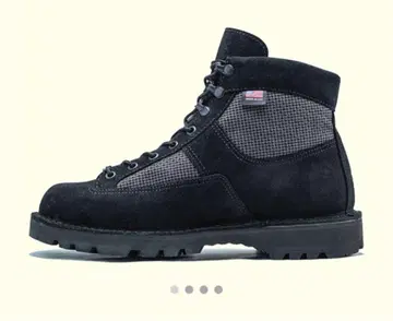 DANNER 데저트 아카디아 8.5