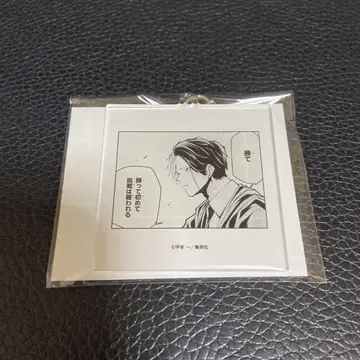 매쉬루 파크 레인 아크릴 키링