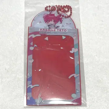 카사네테토 POPUPSHOP 미니 사진 홀더