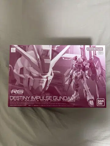 RG 1/144 데스티니 임펄스