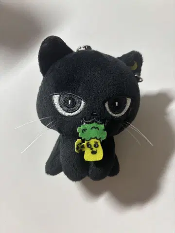 야기 유세이 쿠이 멘프로