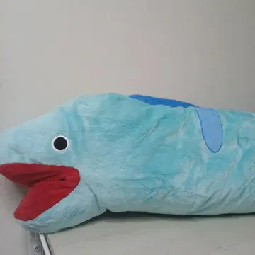 곰치 봉제 인형