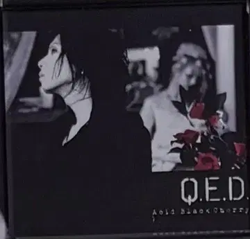 Acid Black Cherry Q.E.D. 마그넷