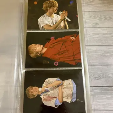 타마모리 유타 사진