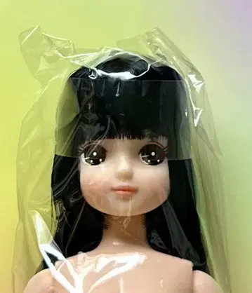 리카짱 캐슬 오타노시미 인형 키라짱 히메컷 슈퍼롱