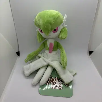 포켓몬 센터 포켓몬 fit 포켓몬핏 서나이트