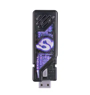 CSM 로스트 드라이버 ver. 2 부속 스컬 메모리