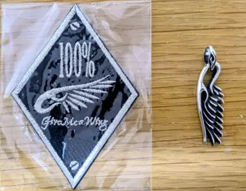 Give Me a Wing 깁미 윙 중 훈증 펜던트 실버
