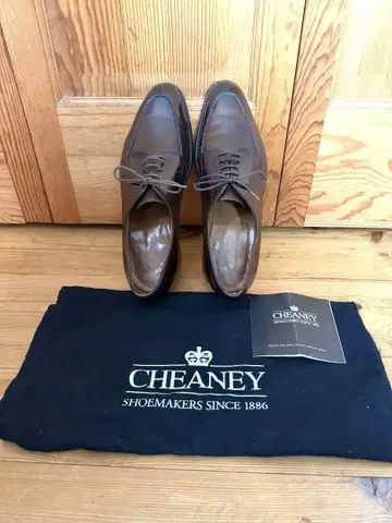 CHEANEY UK7 브라운