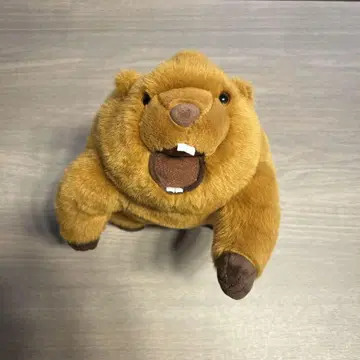 마모트 봉제 인형