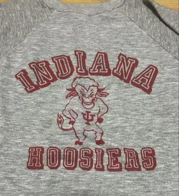INDIANA HOOSIERS 트레이닝복 그레이 사이즈 46