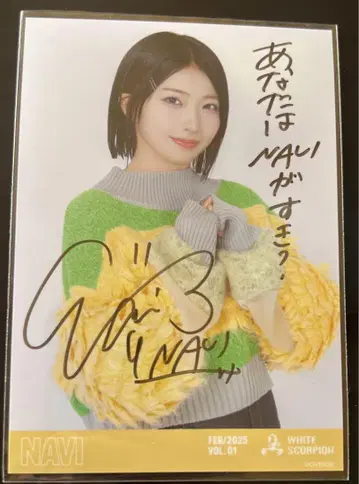 WHITE SCORPION NAVI 겨울 니트 의상 친필 사인 브로마이드