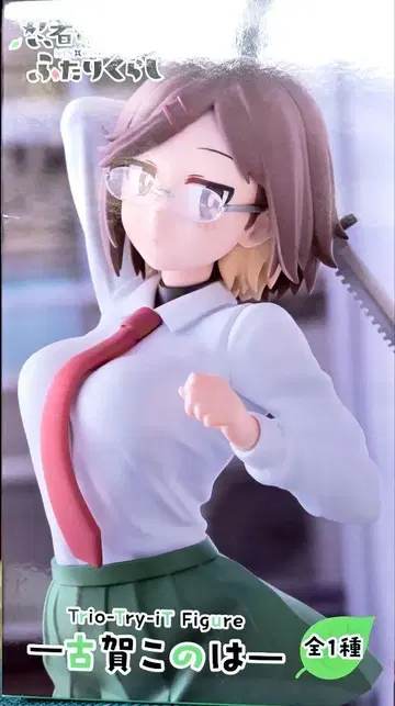 닌자와 암살자의 두 사람의 동거 코가 코노하 피규어