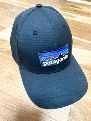 Patagonia 블랙 야구 모자