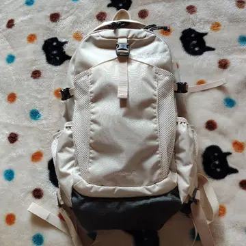 컬럼비아 캐슬락 20L 백팩 chalk 레인 커버 포함