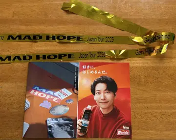 호시노 겐 MAD HOPE JapanTour 2025 은색 테이프 팜플렛