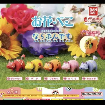 꽃베코 베코나라분데스 컴플리트 세트