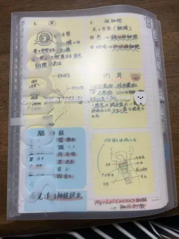 치과위생사 국가시험 포스트잇 노트 정리