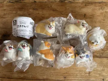 코기산포 컴플리트 전 8종류 가챠