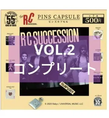 RC 서세션 핀즈 캡슐 아티스트 컬렉션 컴플리트