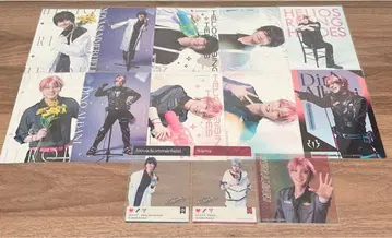 에리스테 디노 노바 샤무스 브로마이드 클리어 컬렉션