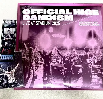 Officialdism LIVE at STADIUM 팜플렛