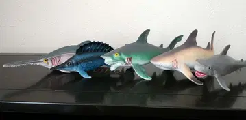 상어 피규어 5개 세트