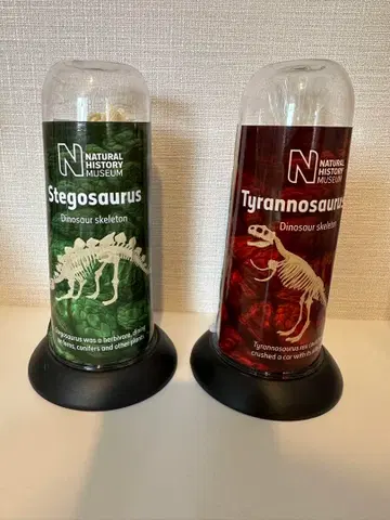 *미개봉 새상품* 공룡 골격 모형 2개 세트 (스테고사우루스, T-렉스)