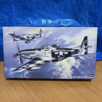 미국 육군 전투기 P-51k 머스탱