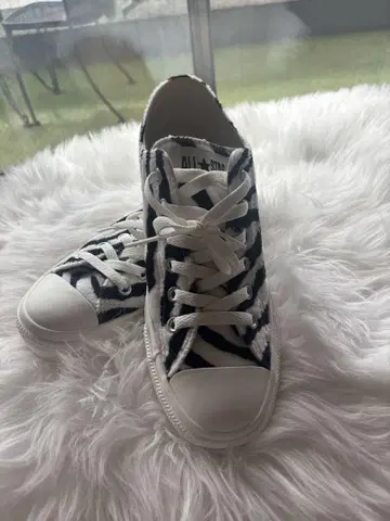 Converse All Star 제브라 패턴 스니커즈
