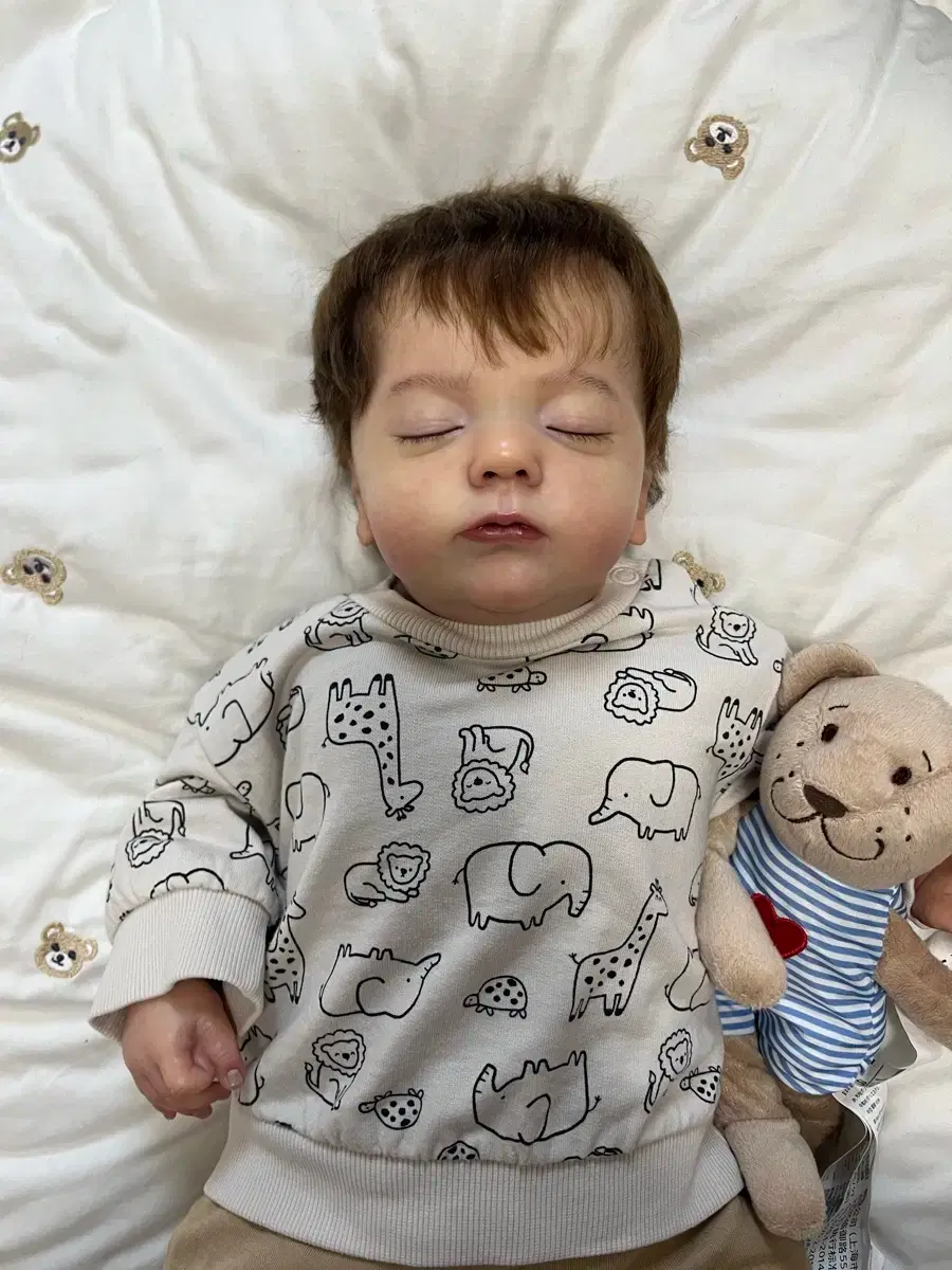 Today only, this price genuine Alesia Ribbon Doll (includes fake Rosalie, accessories)