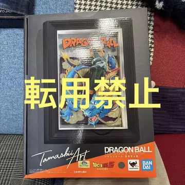 TAMASHII Tamashii Art 드래곤볼Z 손오공 & 용 정품