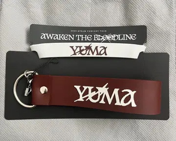 &TEAM 라이트 스틱 데코 세트 YUMA