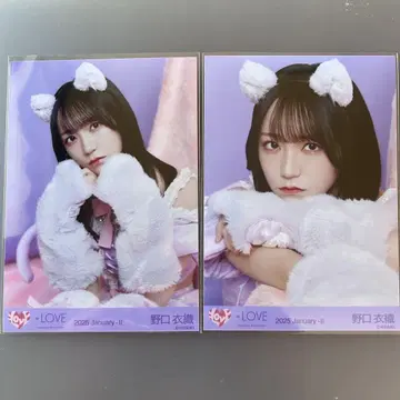 이코라부 노구치 이오리 브로마이드