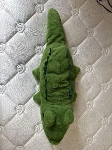 그린 컬러 악어 모양 봉제 인형