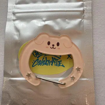 Straykids 승민 카라비너